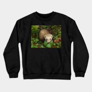 Ivy Majesty Crewneck Sweatshirt